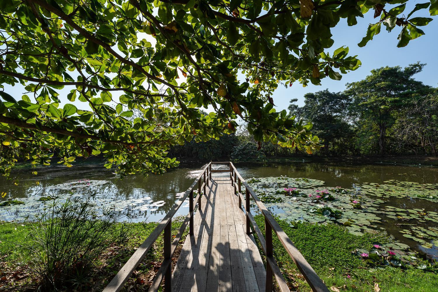 Aite Eco Resort パロミノ エクステリア 写真