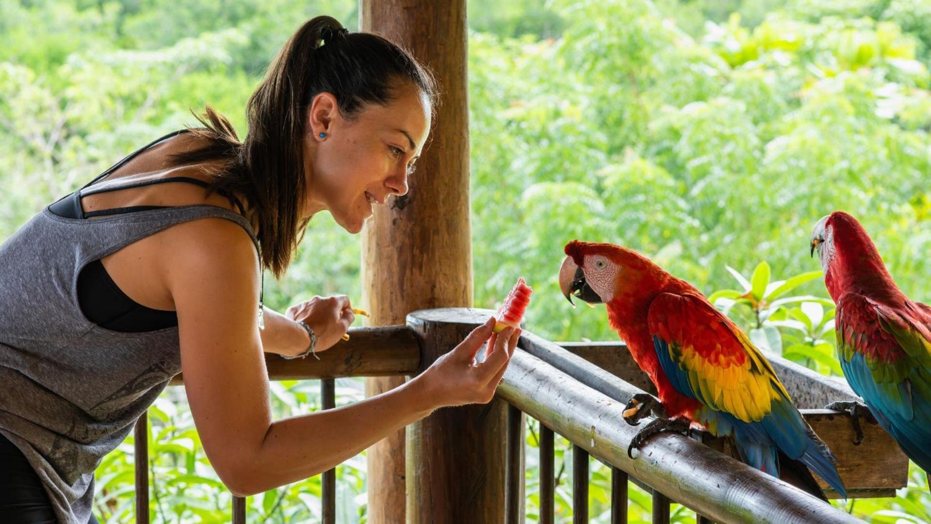 Aite Eco Resort パロミノ エクステリア 写真