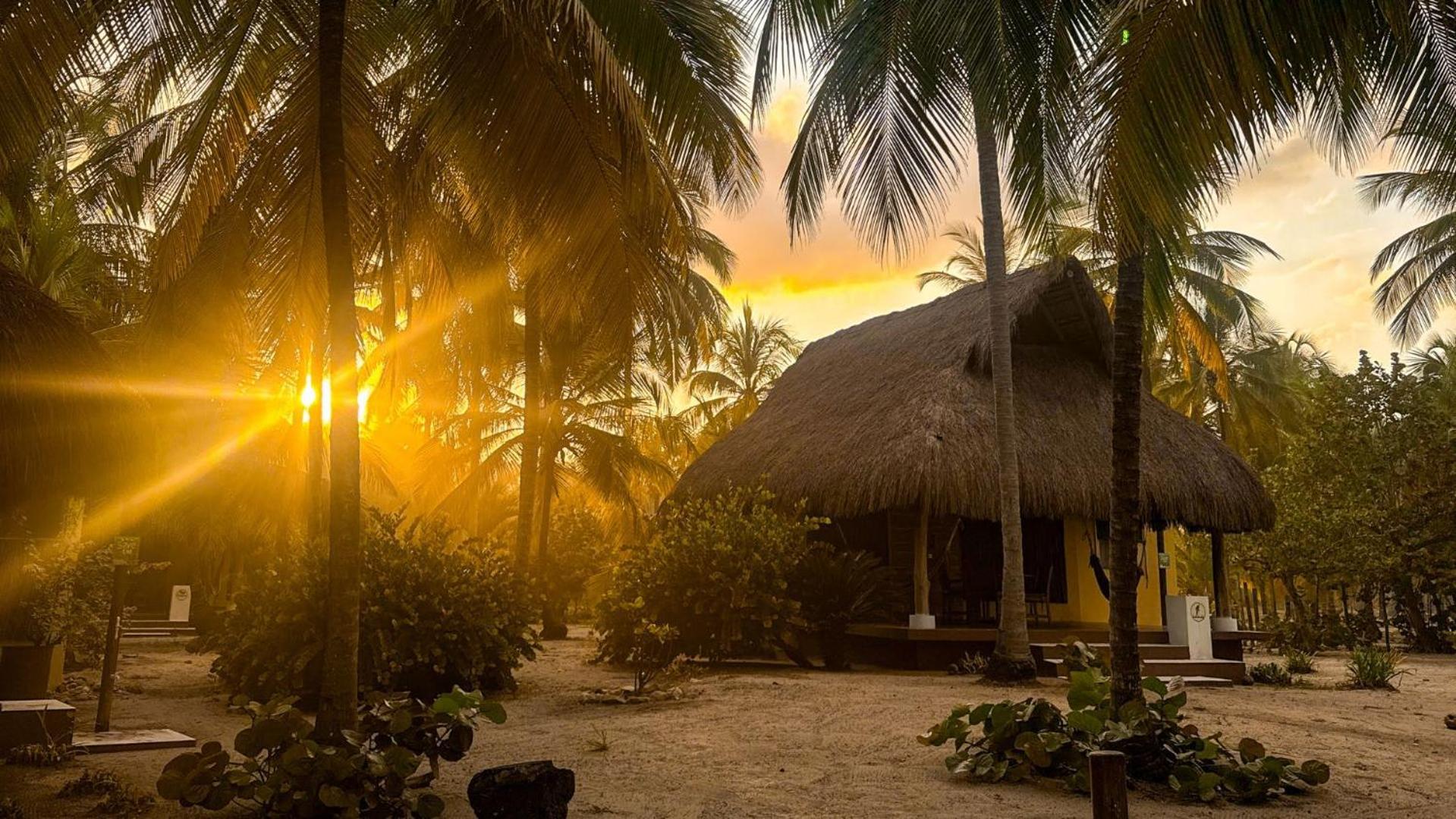 Aite Eco Resort パロミノ エクステリア 写真