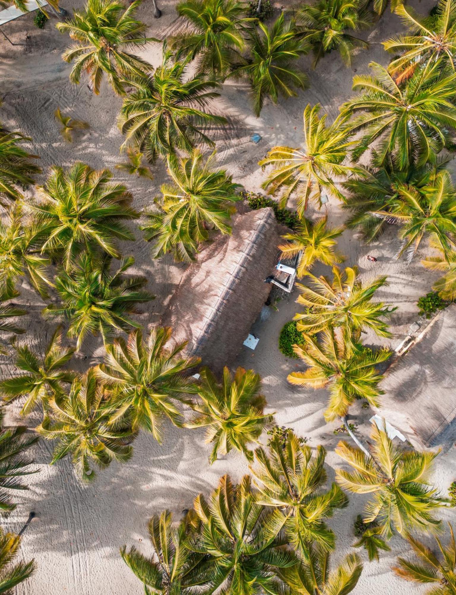 Aite Eco Resort パロミノ エクステリア 写真